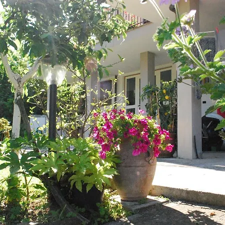 Villa Parte Di Casa Con Giardino E Piscina Pietrasanta Exterior foto