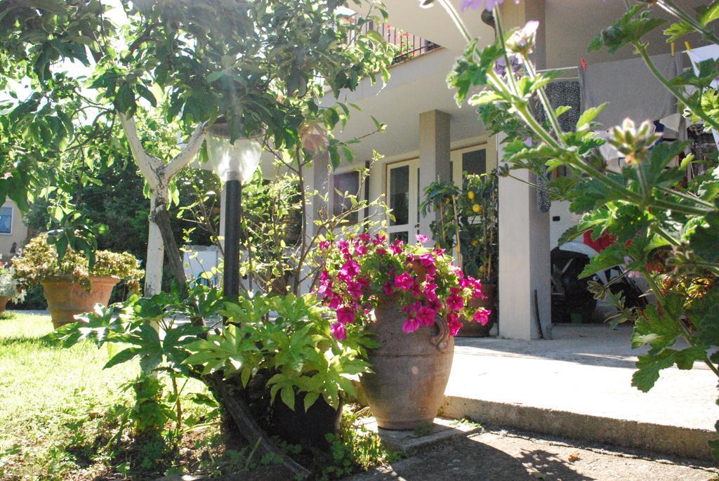 Parte Di Casa Con Giardino E Piscina Pietrasanta