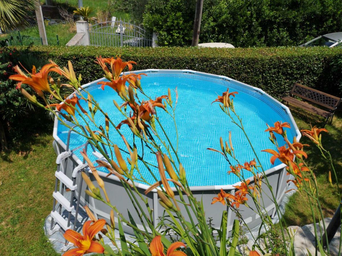 Parte Di Casa Con Giardino E Piscina Pietrasanta